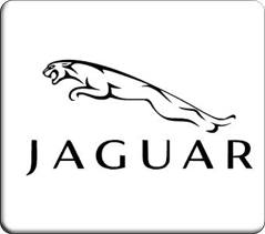 jaguar.jpg