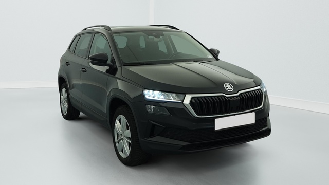 Prix Skoda Karoq 2.0 tdi 116 ch scr dsg7 business