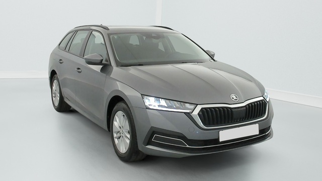 Collaborateur Skoda Octavia combi