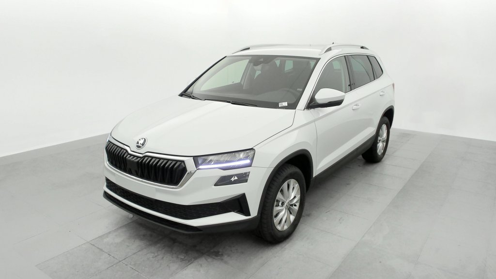 Photo véhicule 1 SKODA Karoq 2.0 TDI 116 ch SCR Selection