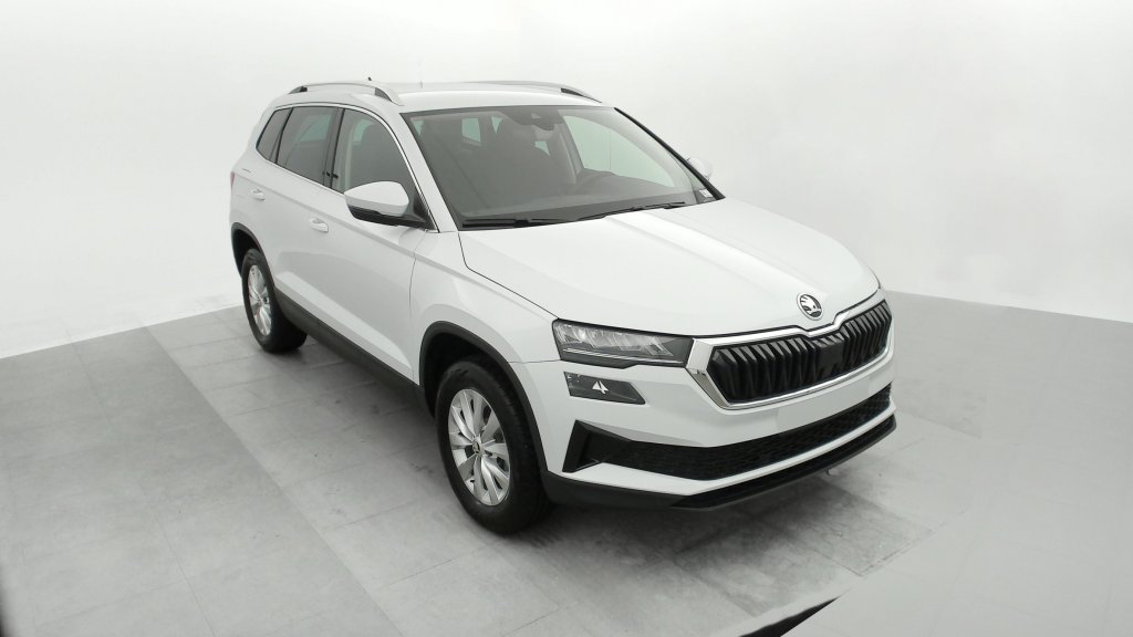 photo SKODA Karoq